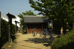 なつかしき日々