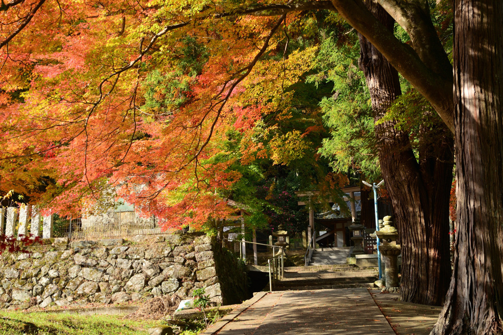 国津神社