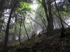 山上ヶ岳　１