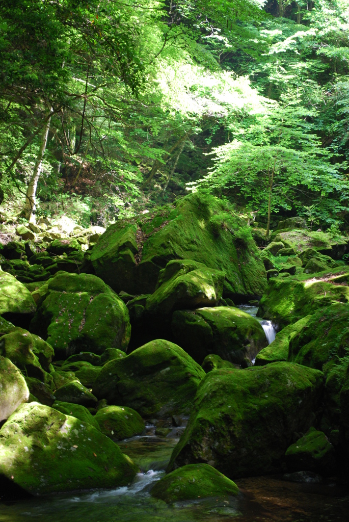 赤目四十八滝　　05