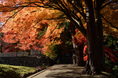 長瀬国津神社