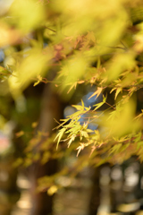 積田神社