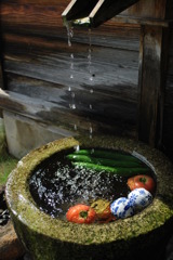 夏野菜の水浴び