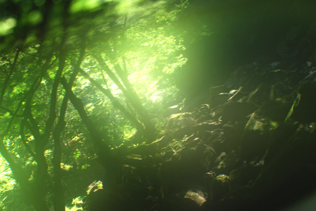 fantasy green