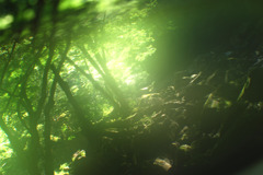 fantasy green