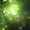 fantasy green