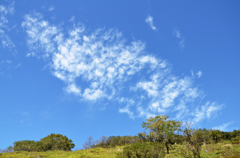 秋空