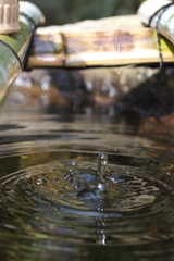 １／２５０の世界