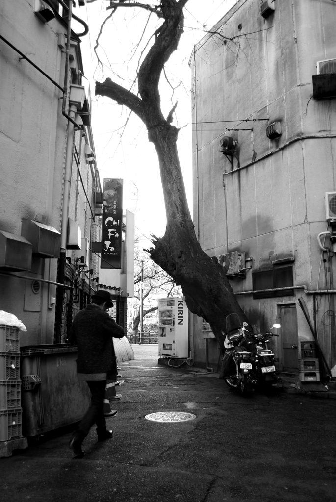 路地裏