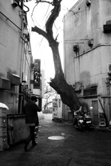 路地裏