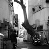 路地裏