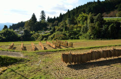 田舎の風景