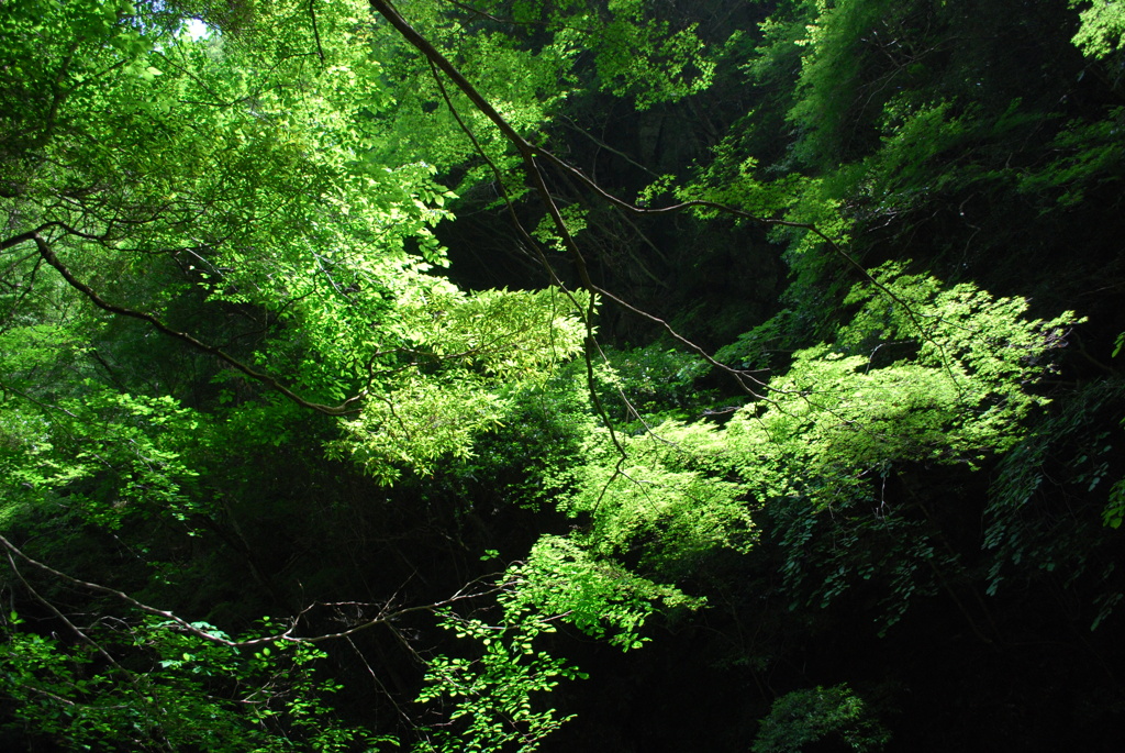 赤目四十八滝　03