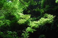 赤目四十八滝　03