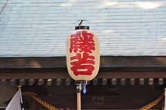 藤若堤燈（小祭）