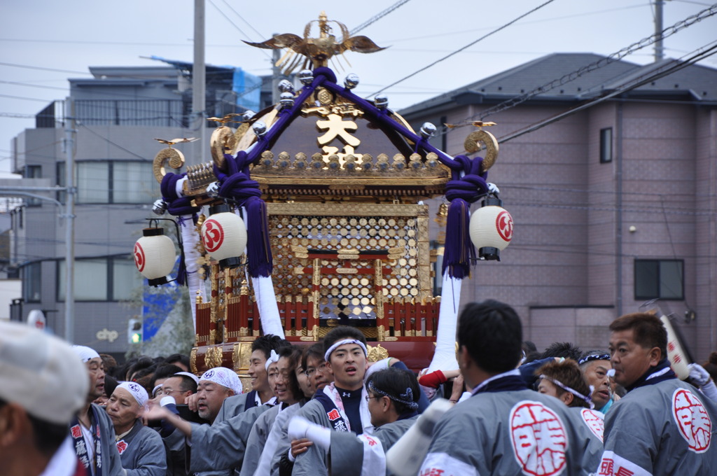 藤若　神輿が来たぞ！②