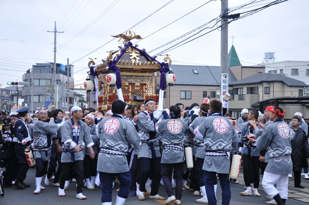 藤若　神輿が来たぞ！①