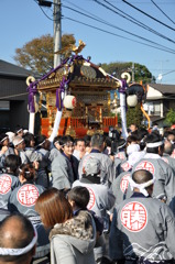 藤若　神輿が進む