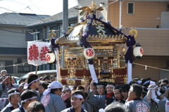 藤若　神輿が来たぞ！