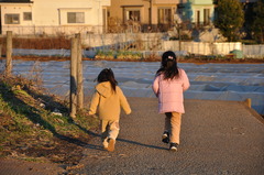 夕暮れの散歩道