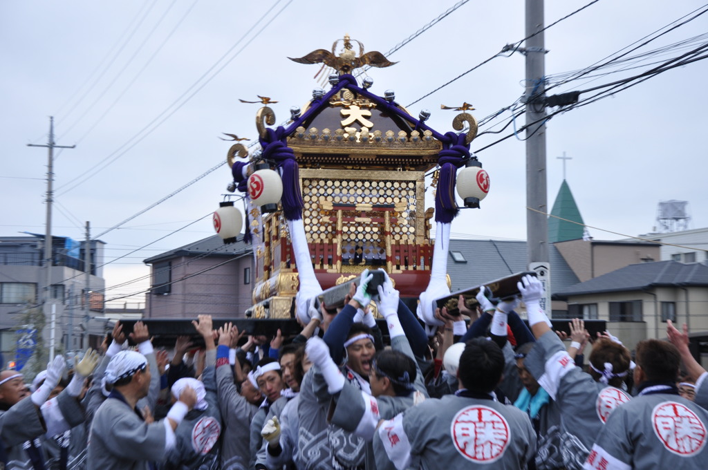 藤若　神輿が舞う！