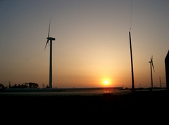 夕日に映える風車