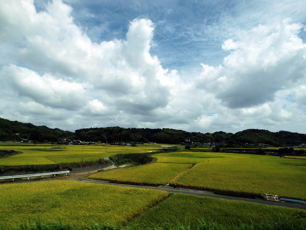 田園風景 in 鹿児島
