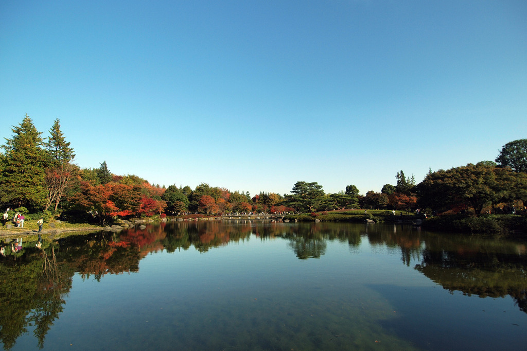 紅葉を見に行こうよう！