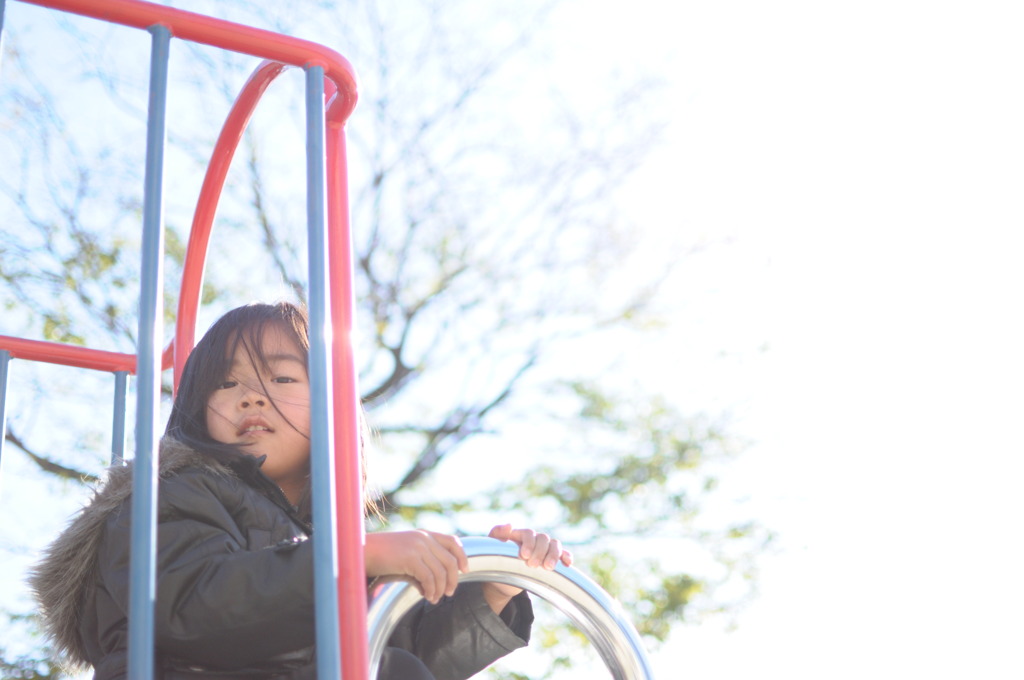 冬の朝...公園で。