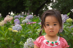 二人の好きな花