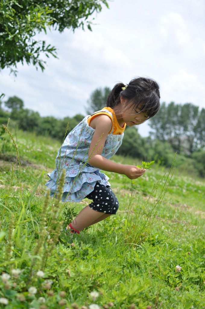 よもぎ、みつけたっ！