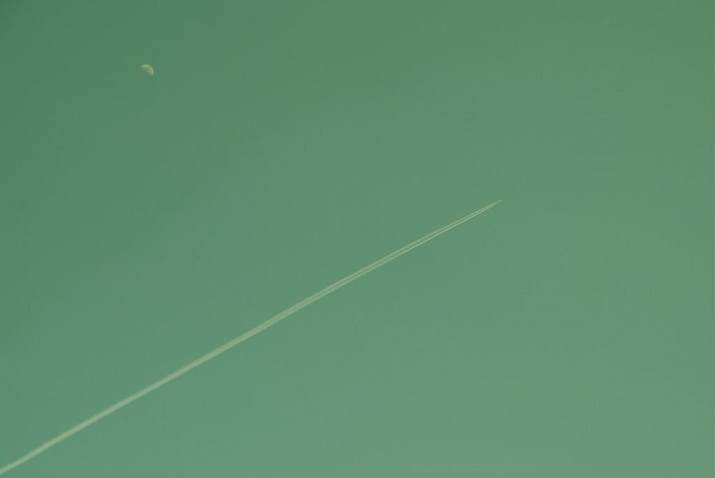 Fly To The Moon