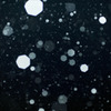 七角形の雪