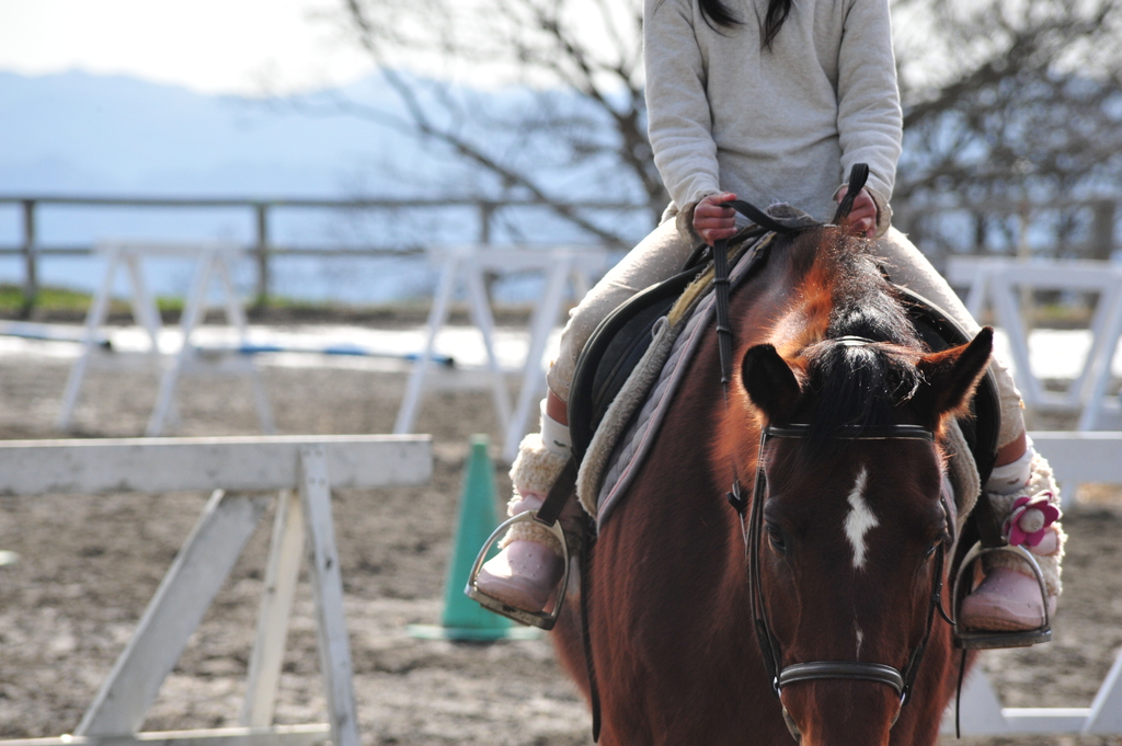 乗馬