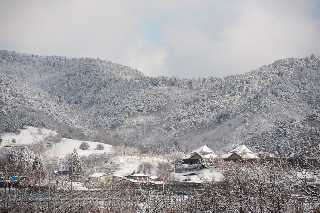 山形県南陽市　秋葉山