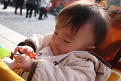 小さな秋　見ぃ～つけた