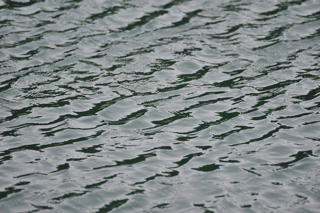 梅雨空を映す