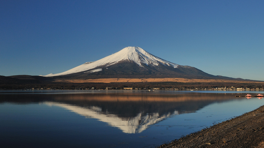 早朝の富士