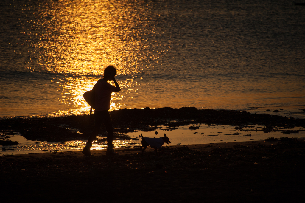 夕照の海