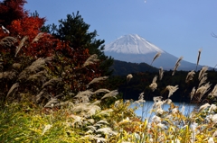 今年一年お付き合いありがとうございました
