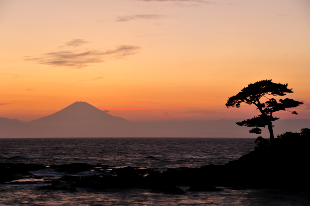 残照の海