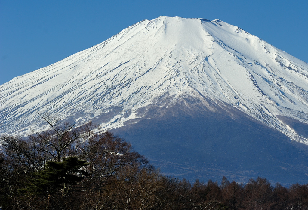 生きている富士