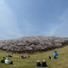 パノラマ風お花見