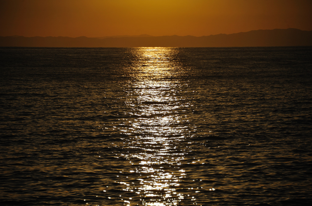 黄金色の海