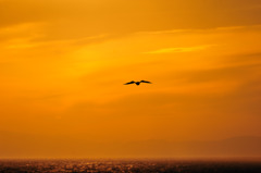 夕焼け空