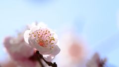 優しくあれ