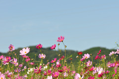 三芳村「鄙の里」