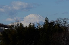 あけましておめでとうございます