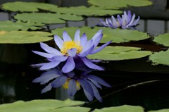 終の美学
