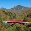 紅葉への入り口